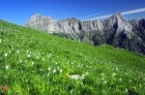 Monte Croce e gruppo Panie